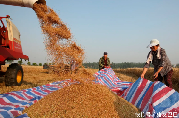聚富配资 油价大涨！4月23日：调价后92,95号汽油价格，麦价“插翅”上涨！
