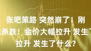 张吧策路 突然崩了！刚刚 全线杀跌！金价大幅拉升 发生了什么？