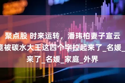 聚点股 时来运转，潘玮柏妻子宣云的路人缘竟被碳水大王这四个字拉起来了_名媛_家庭_外界