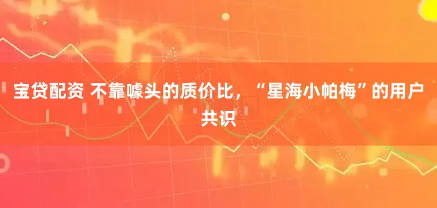 宝贷配资 不靠噱头的质价比，“星海小帕梅”的用户共识