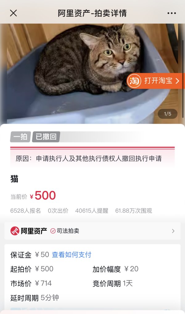 好股盛 扬州法拍狸花猫被撤回拍卖 曾有6500余人报名竞拍 宠物店：猫已被法院接走