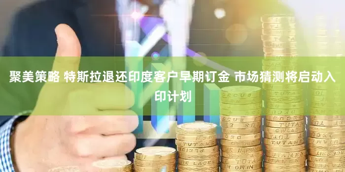 聚美策略 特斯拉退还印度客户早期订金 市场猜测将启动入印计划